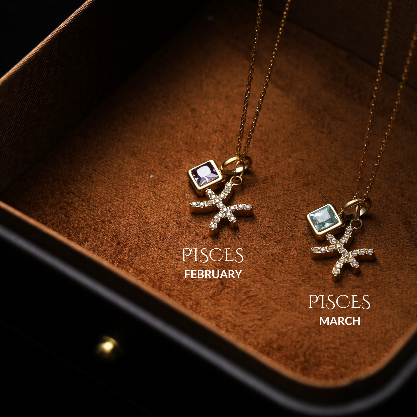 Pisces_necklace with either a Febraury birthstone or a march birthstone
