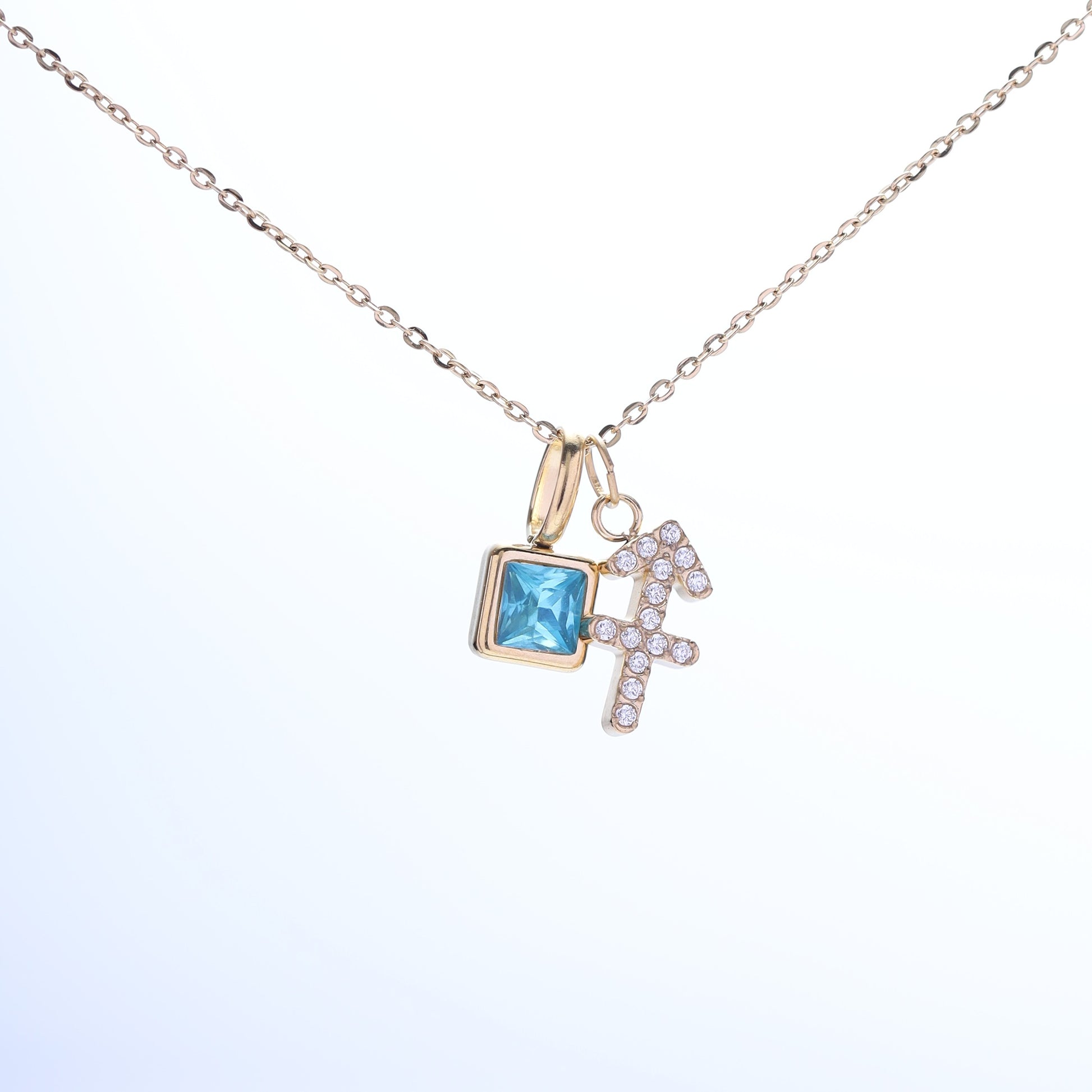 sagittarius necklace on a white background
